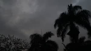 Ínsito — foto 1