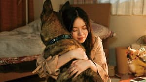 少年と犬 — foto 4