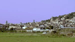 Primavera esvaïda — foto 6