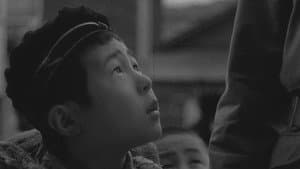 蜂の巣の子供たち — foto 3