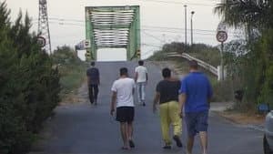 Tomer Ve-Hasrutim — foto 2