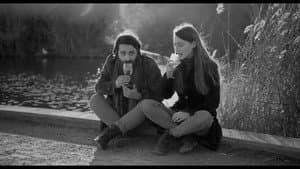 Τα Άνθη Στα Άνθη — foto 1