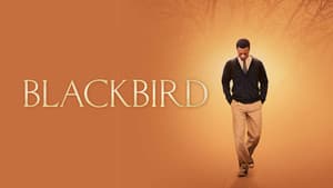 Blackbird — foto 3