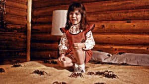 Kingdom of the Spiders — foto 5