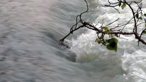 Il Fiume, A Ritroso — foto 1