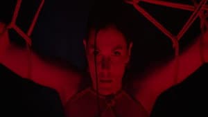 縛り — foto 2