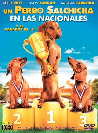 Un Perro Salchicha en las Nacionales