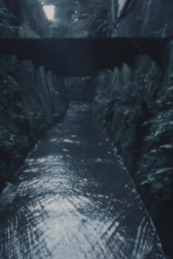 六月の森・七月の沼