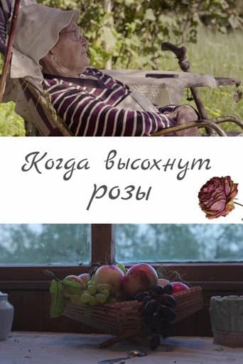 Когда высохнут розы