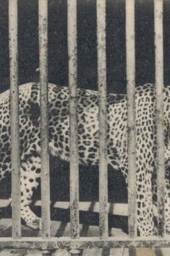 Zoo