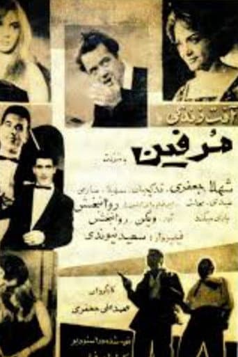آفت زندگی یا مورفین