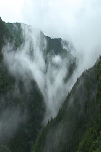 天竜区奥領家大沢　夏