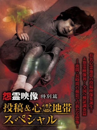 怨霊映像 特別篇 投稿＆心霊地帯スペシャル