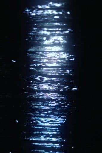 December Lights