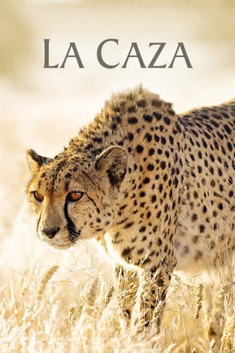 Cacería