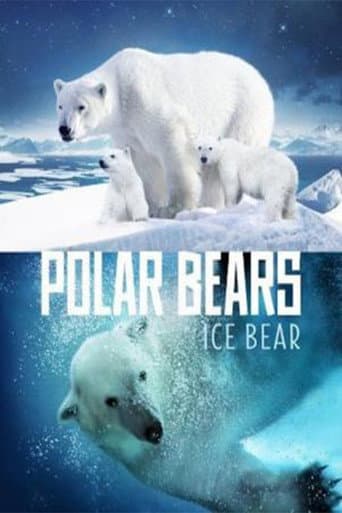 Osos Polares: Ice Bear