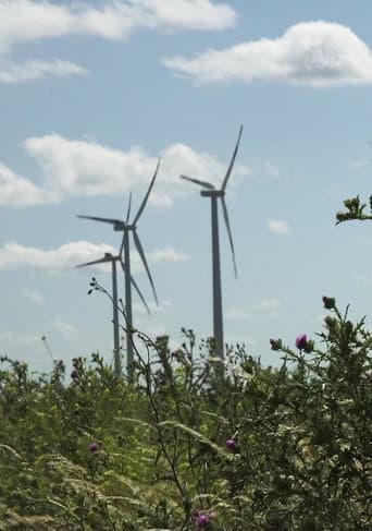 Windpark: Ein Lichtspiel bei Nacht