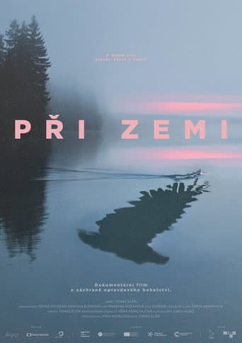 Při zemi