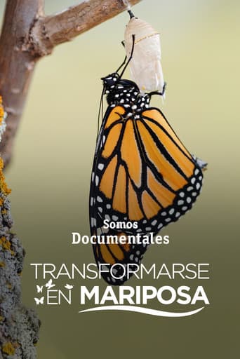 Devenir papillon