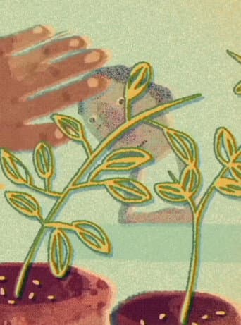 Pequeñas Historias Sobre la Soledad