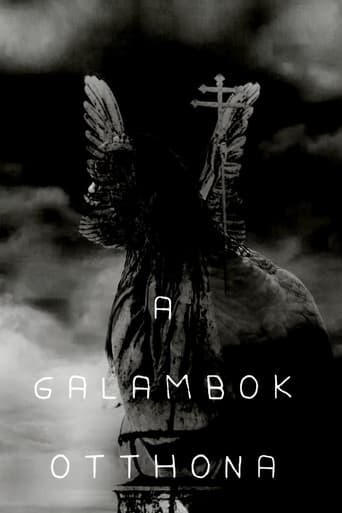 A galambok otthona