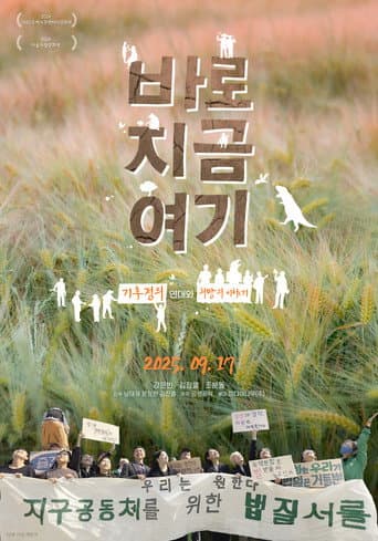 바로 지금 여기