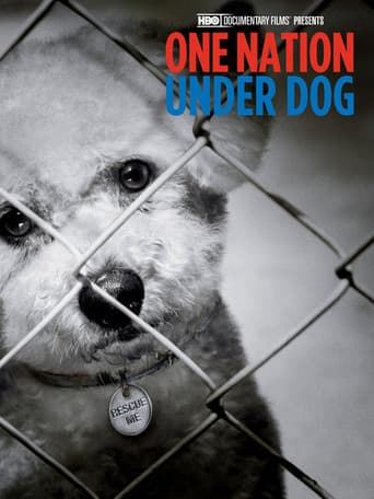 Una Nación Canina: Relatos De Miedo, Pérdida Y Traición