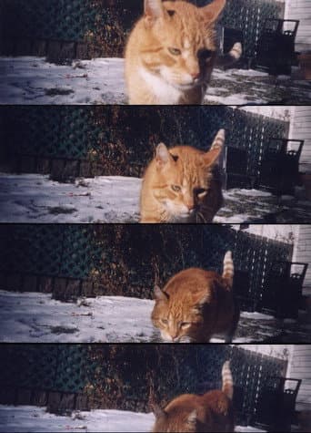 Nobody Knows