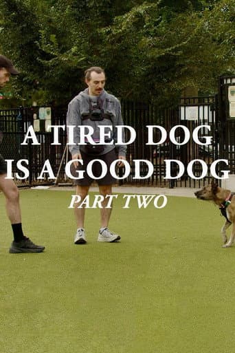 A Tired Dog is a Good Dog, Part Two