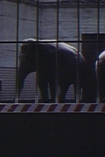 Elephants: Fragments in an Argument