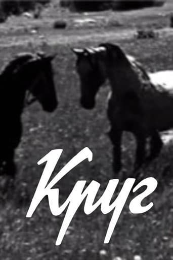 Круг