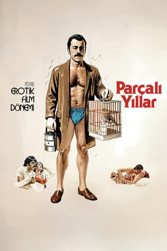 Parçalı Yıllar