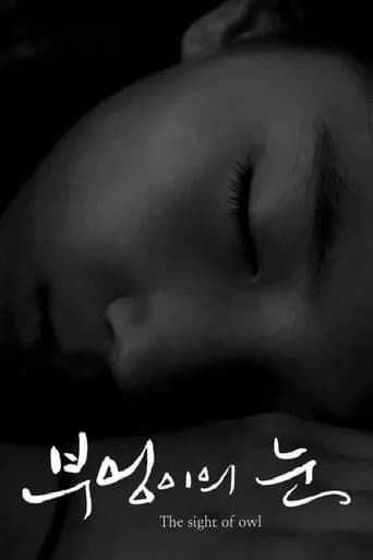부엉이의 눈