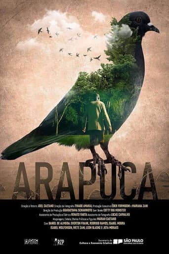 Arapuca Trampa para pájaros