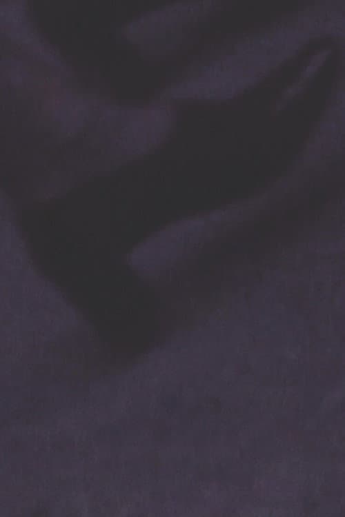 視界の切片