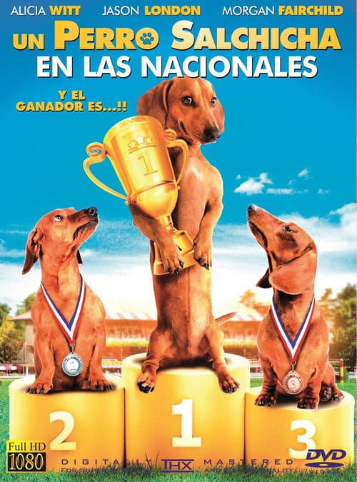Un Perro Salchicha en las Nacionales