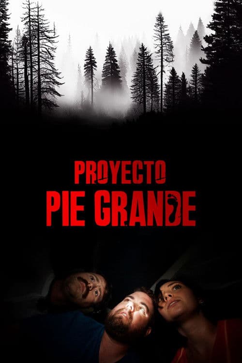 Proyecto Pie Grande