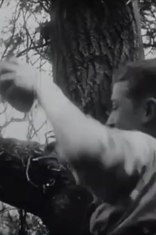 Les Dénicheurs d'oiseaux