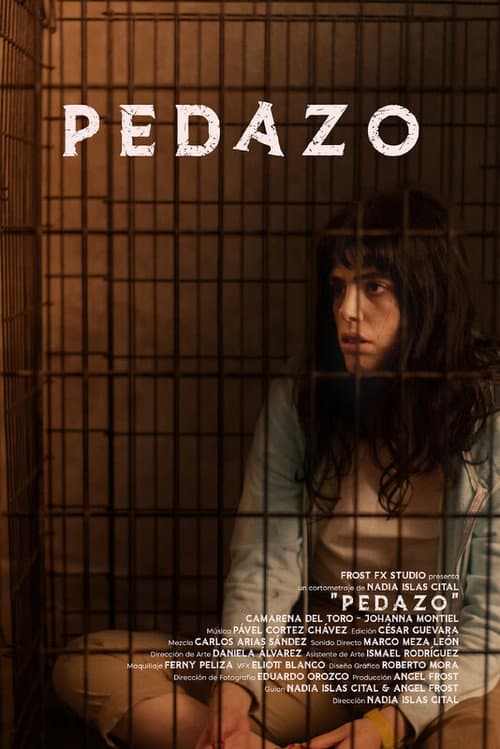 Pedazo