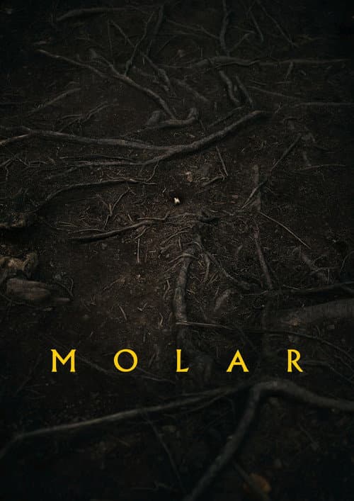 Molar