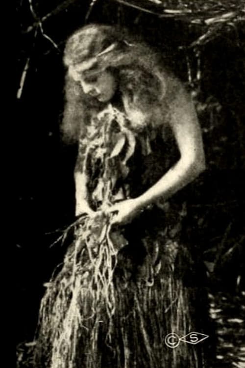 The Royal Slave