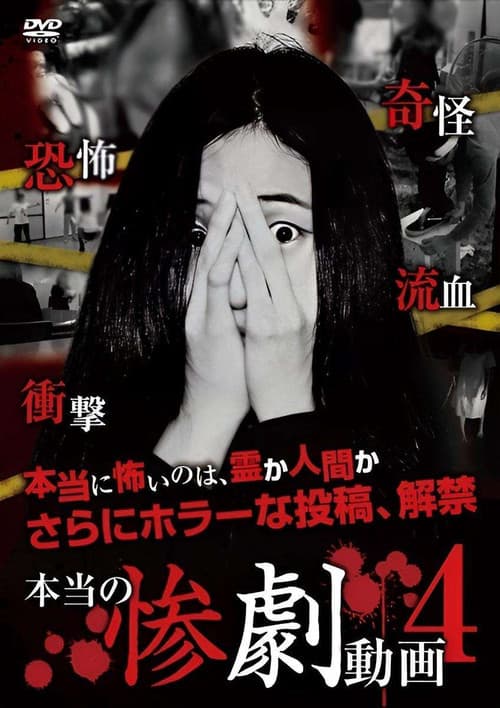 本当の惨劇動画 4