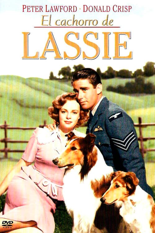 El hijo de Lassie