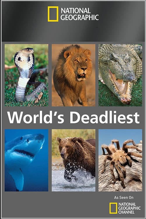 Los depredadores más letales del mundo