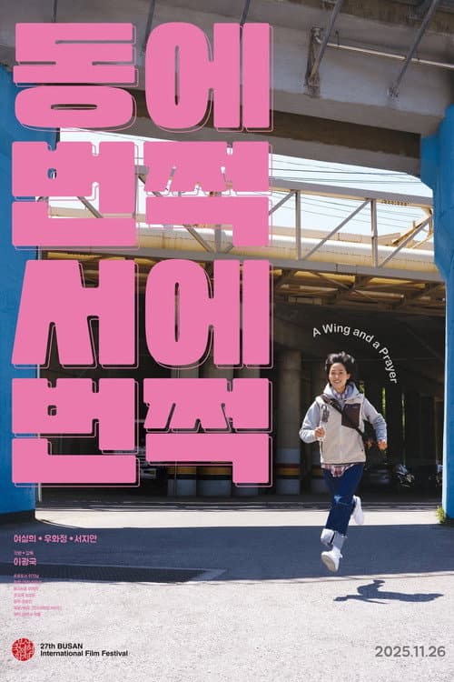 동에 번쩍 서에 번쩍