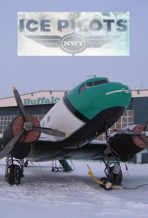 Pilotos del Ártico
