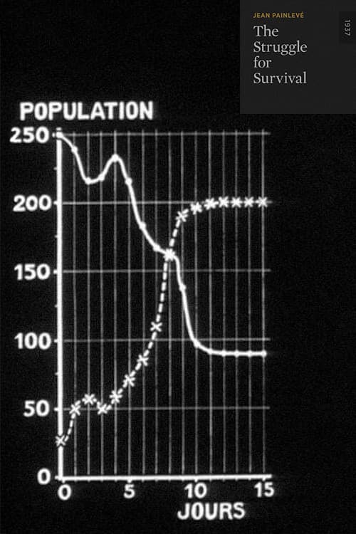 Images mathématiques de la lutte pour la vie