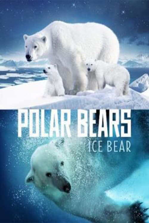 Osos Polares: Ice Bear