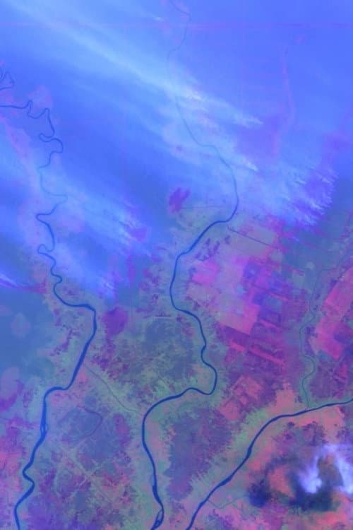 Ecocide in Indonesia