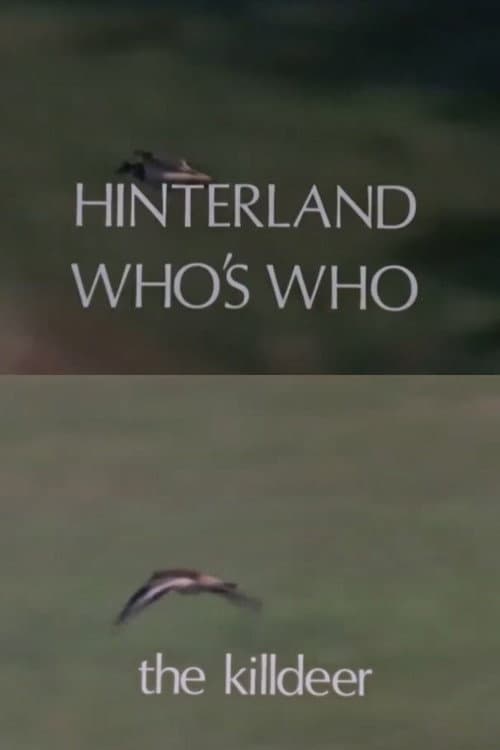 Hinterland Who's Who: Killdeer